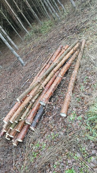 Stemple budowlane słupki ogrodzeniowe cięte na wymiar/życzenie