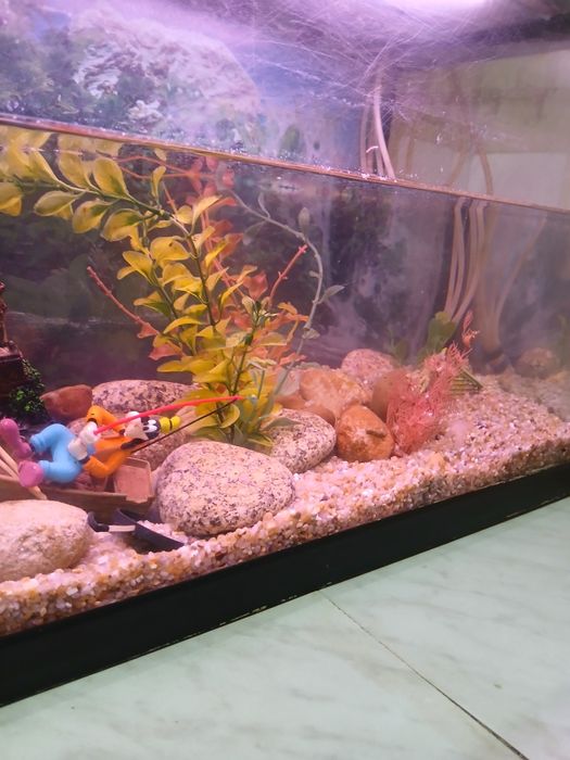 Aquário de 1 m usado em bom estado