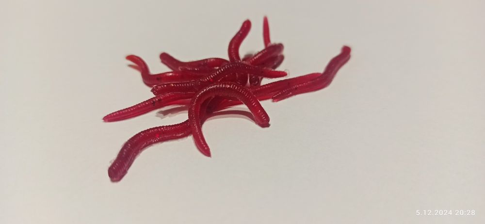 Sztuczny robak, przynęta 3,5 cm - 20 sztuk