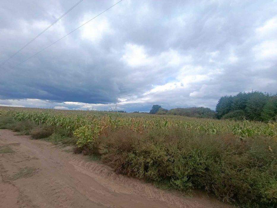 Продаж земельної ділянки, 2 га, с. Якушинці