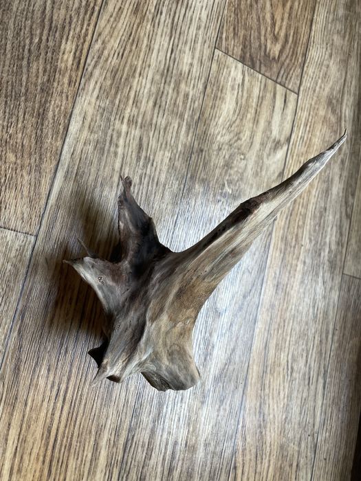 Компресор, грунт, коряга для акварііума