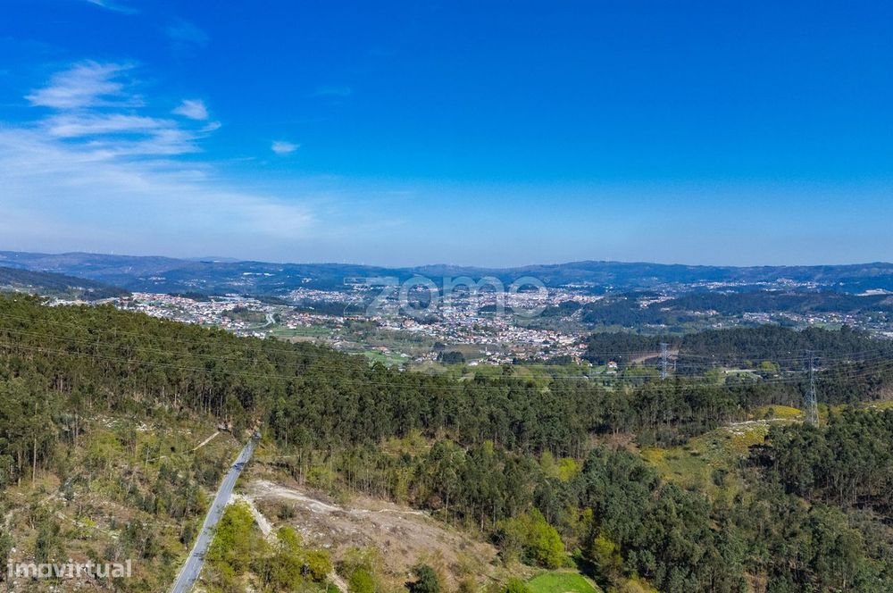 Terreno Rústico c/ 27850m² em Mesão Frio - Guimarães