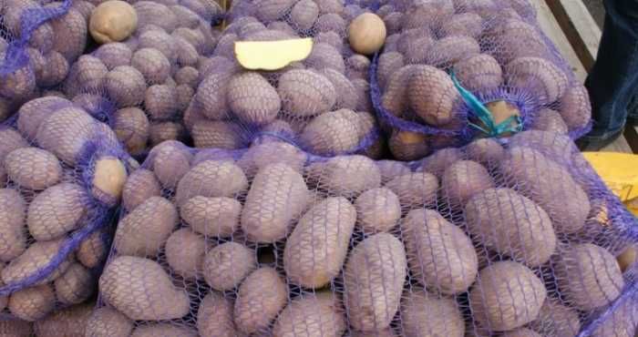 Продам продовольчу картоплю, 2 т