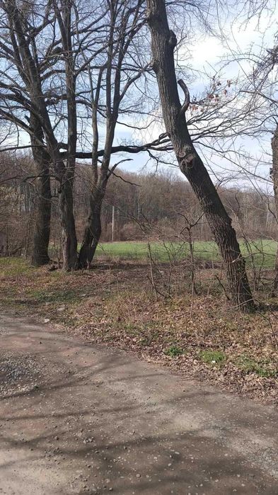 Продам дачу (9842)