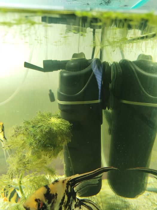 Продаю аквариум 200 литров