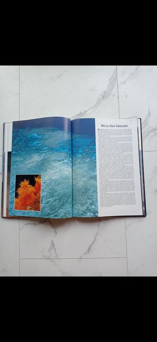 Cuda natury Joyce Robins