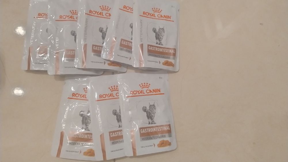 Royal Canin dla kotów