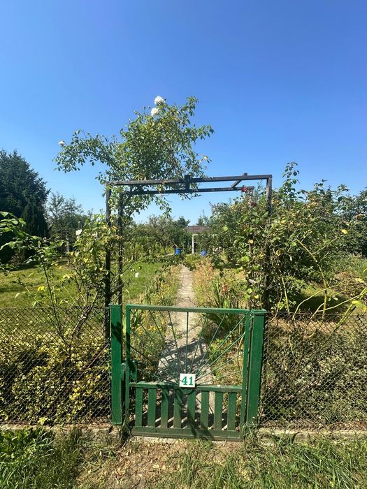 Sprzedam ogródek działkowy 450 m2 w Ogrodach Działkowych ,,Kwitnąca Dolina"