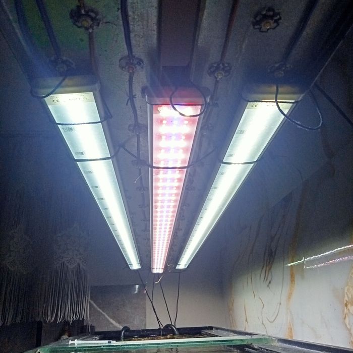 Sinkor LED 120 cm 40W z Wifi LED Control