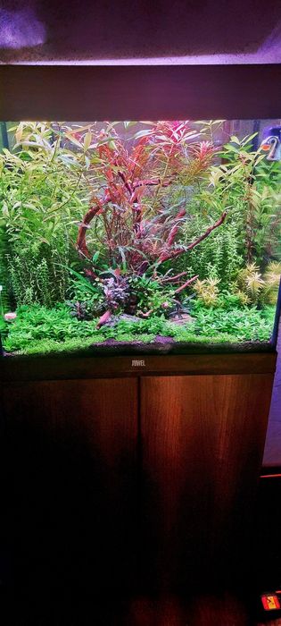 Akwarium Juwel Lido 120