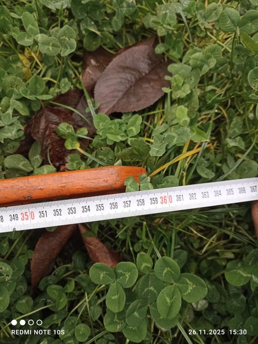 Продам високоріз бензиновий STIHL бу