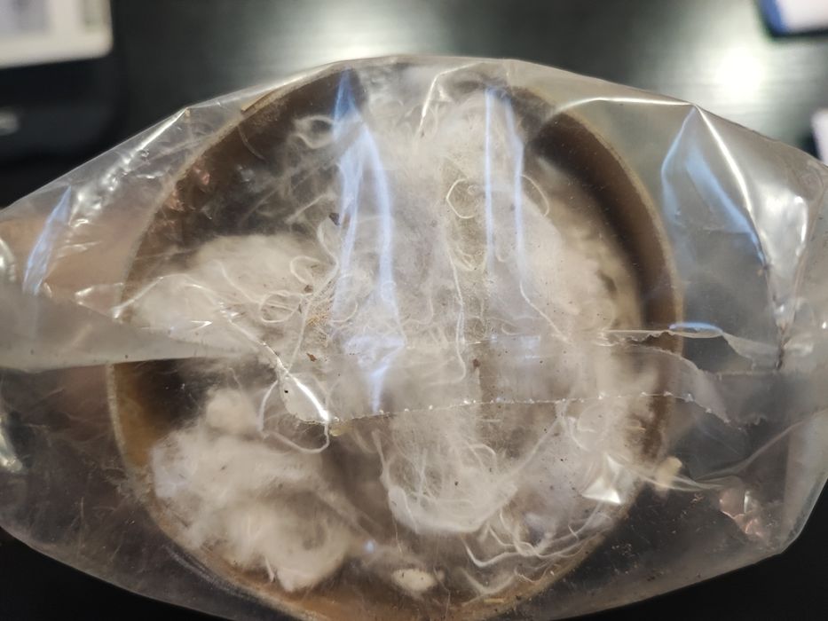 Podłoże bawełniane dla gryzoni w TUBIE 20 cm - PET INN