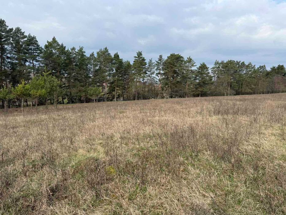 (5) Продам земельну ділянку в Стрижавці 8116