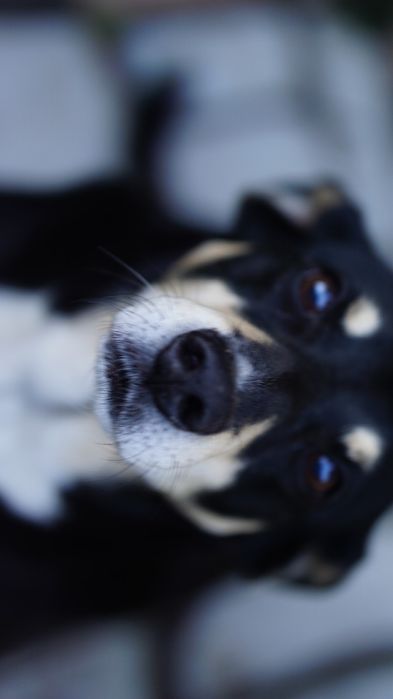 Sit and PLAY! 5€/hr