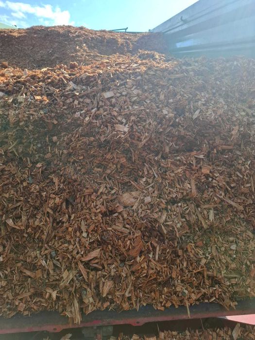 Zrębka drzew liściastych, worki zrebki, do ściółkowania na rabaty.