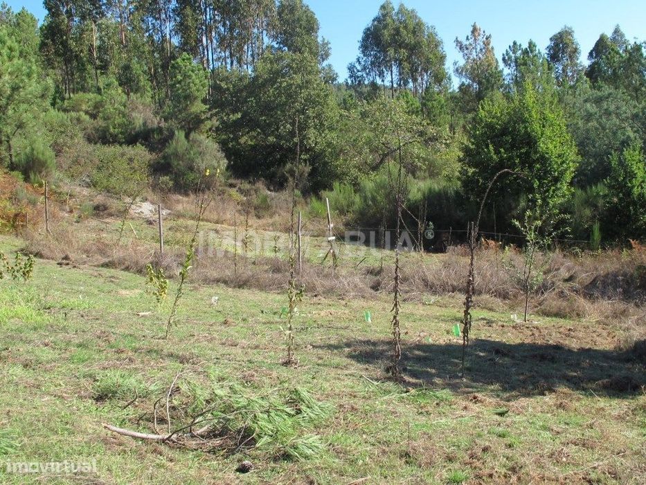 Terreno de construção