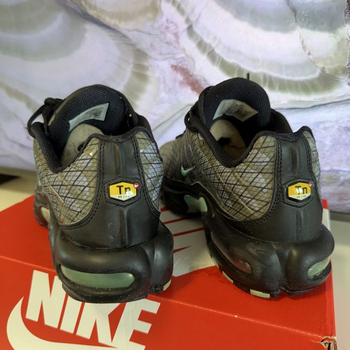 Кроссовки мужские Nike Air Max Plus Grey FB3351-001