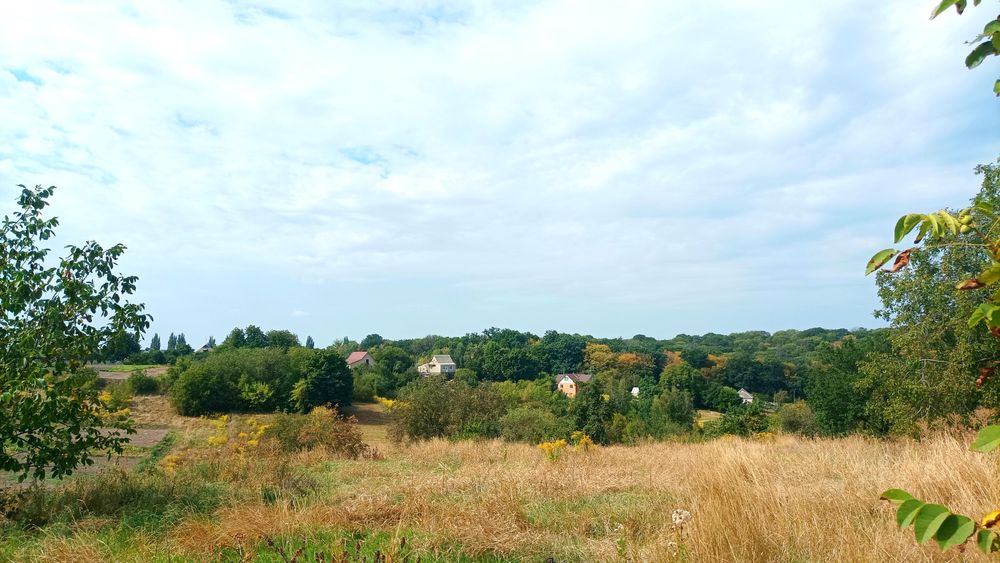 Продам земельну ділянку в с. Шкарівка.