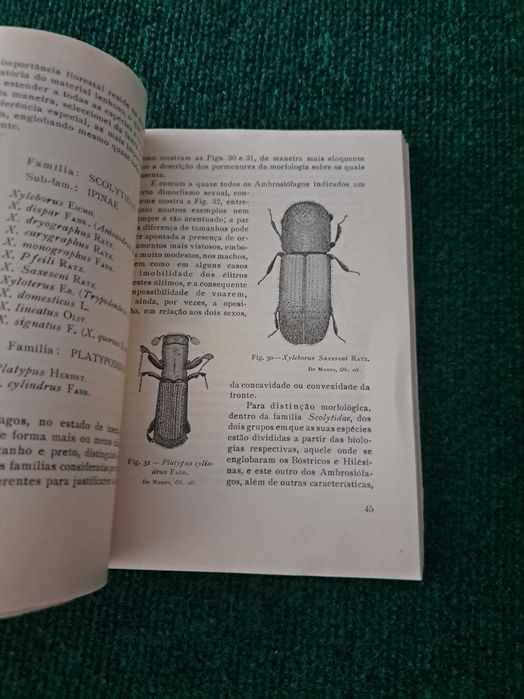 Introdução à Entomologia Florestal Portuguesa - Baeta Neves