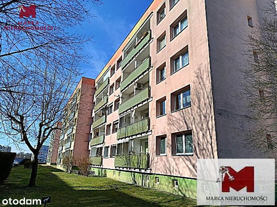 Mieszkanie do wynajęcia, 2pkł, Ip, 45 m2, os. Pias