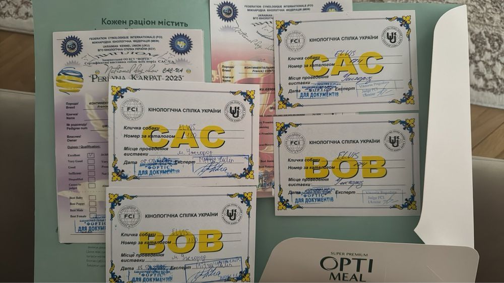 Папільйон, вʼязка