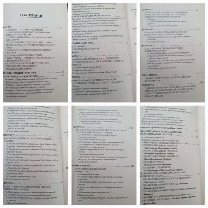 Слияния пяти стихий. Мантэк Чиа