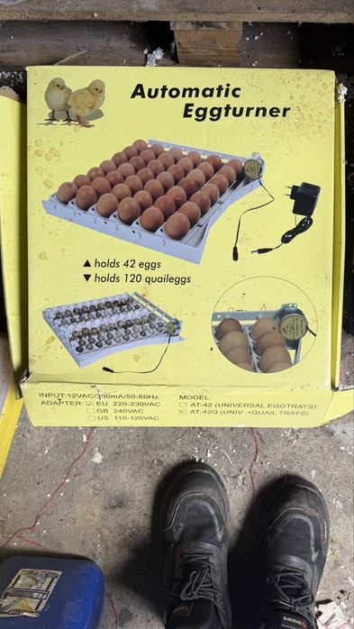 Inkubator do jajek na 42jajka