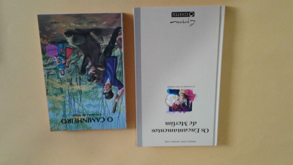Livros: Os Lusíadas+ Romance de Amadis + Lendas da Rússia, etc
