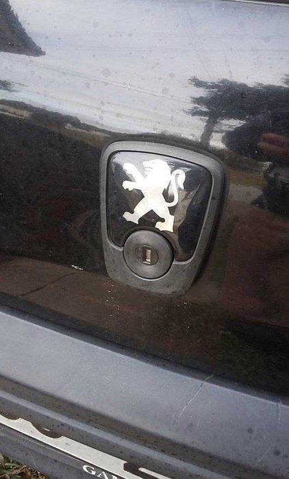 Simbolo mala Peugeot 106 e 406 silicone resina 306