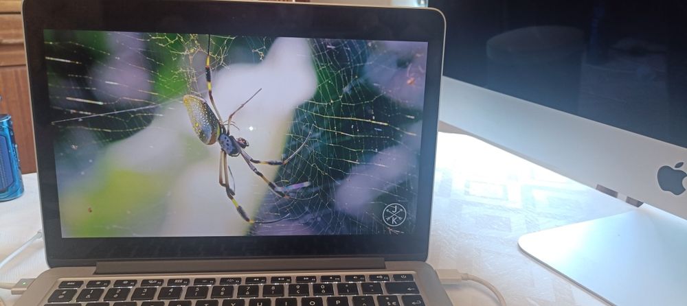 MacBook Pro 13 Retina - 8GB Ram- SSD, carregador novo