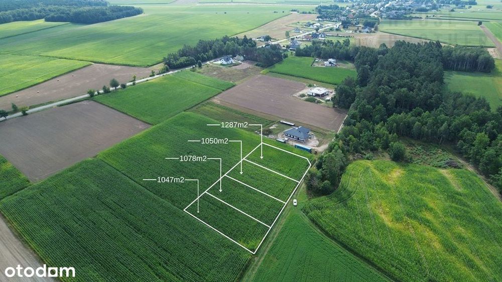 Działki budowlane w Szczepankowie