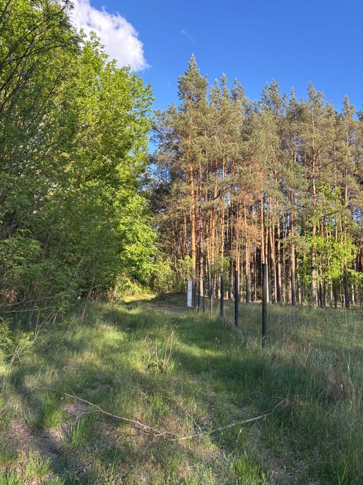 Działka Kąty Czernickie 50km od Warszawy!!! - Więcej