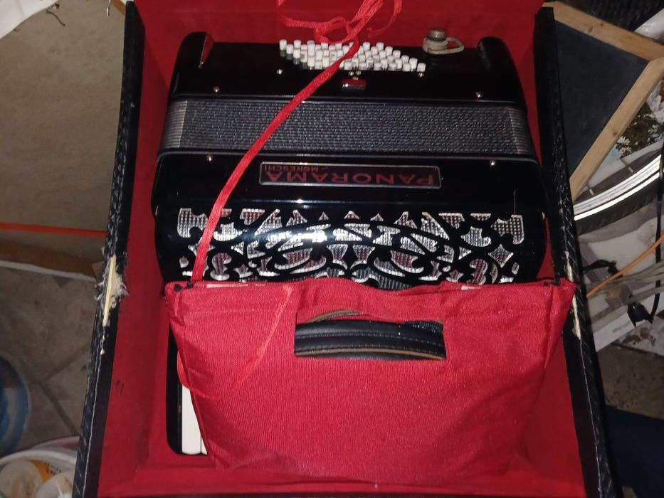 Acordeon Panorama