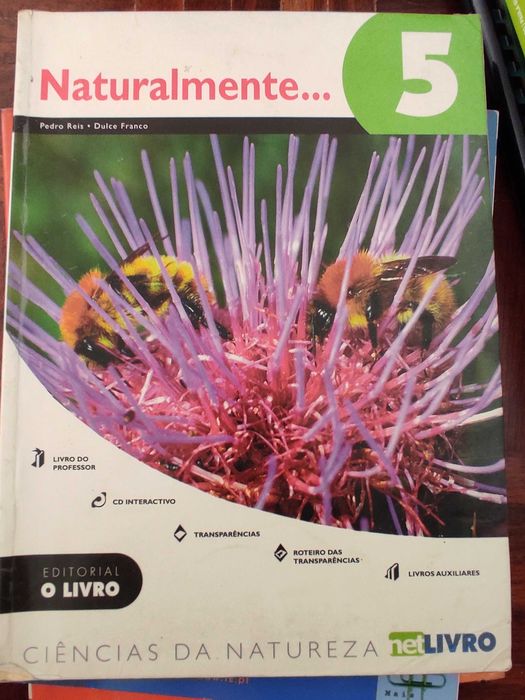 Livros escolares de diferentes anos de ensino e disciplinas