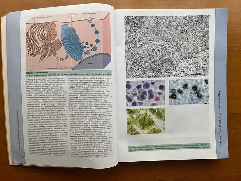 Histologia Funcional - Texto e Atlas em Cores