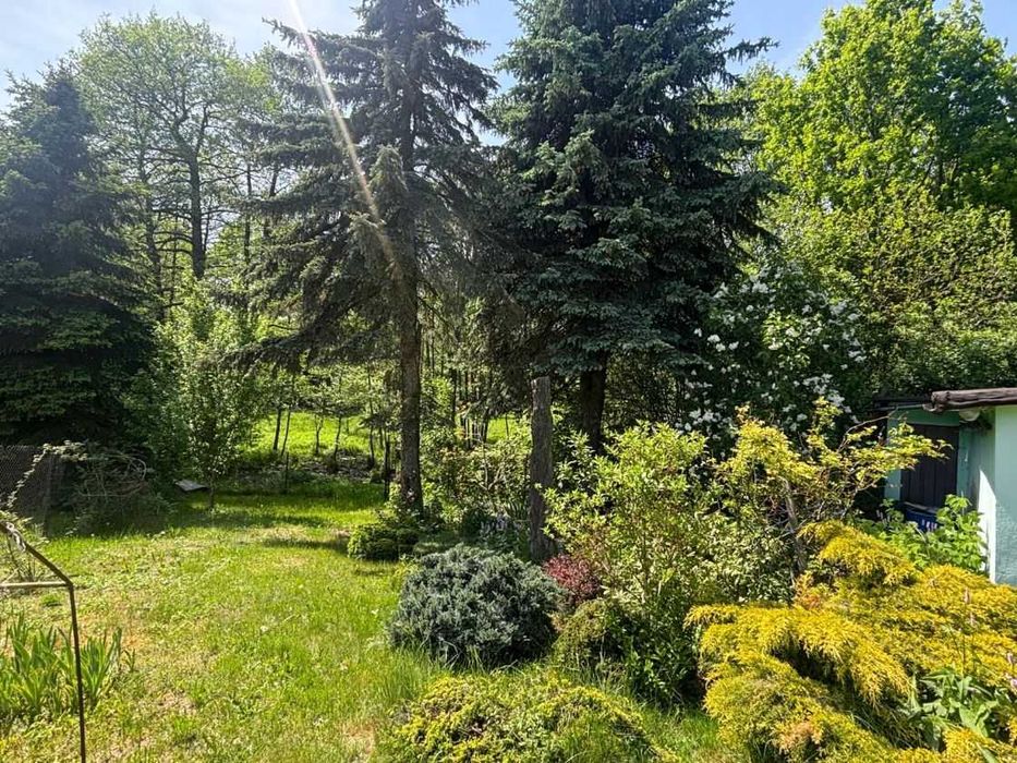 Działka rekreacyjna - Widok 5
