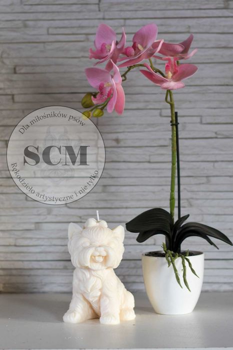 Świeca sojowa piesek Shi Tzu West Cairn Terrier York