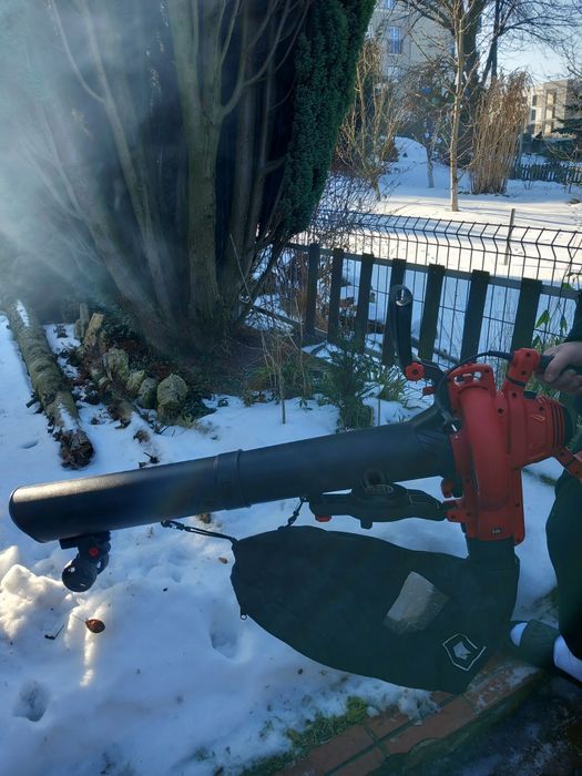 Dmuchawa do liści i śniegu Einhell GC-EL 3000 E