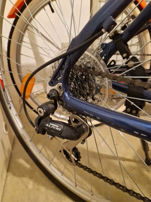 Rower Horizon size 19