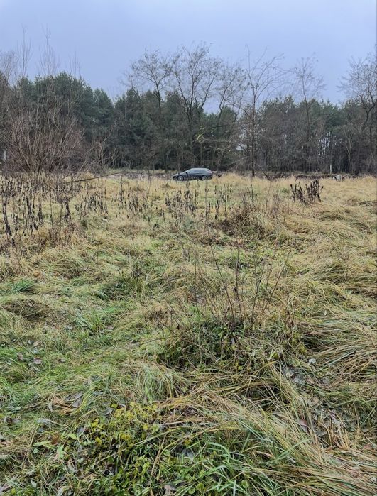 Działka przy lesie 21 ar