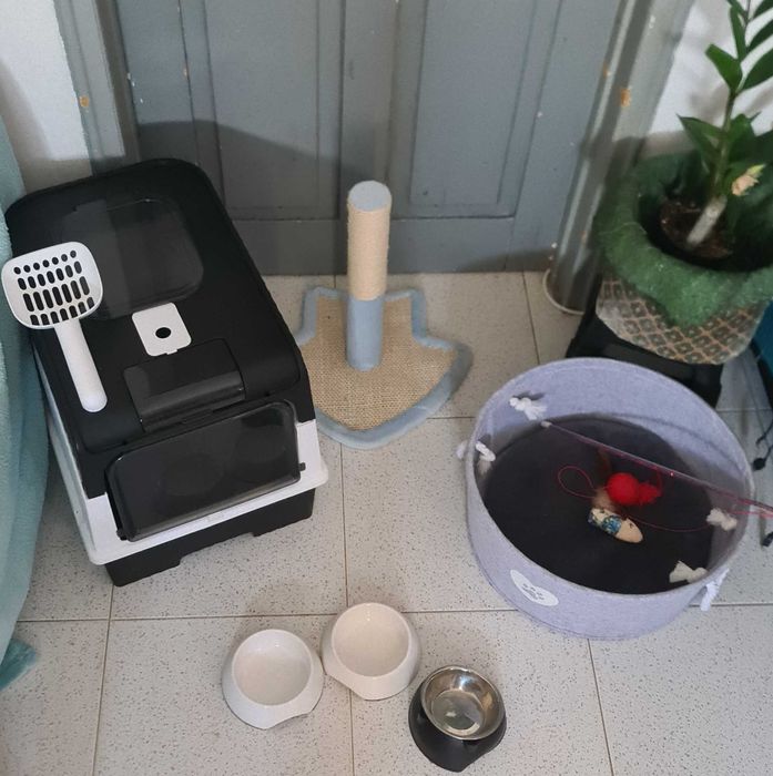 Kit Completo Gato 2 Caixas WC Acessorios Comida e Areia