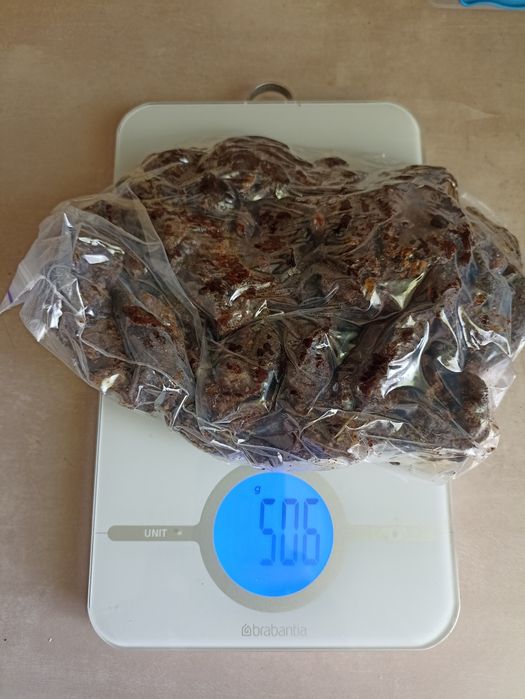 Продам прополіс .