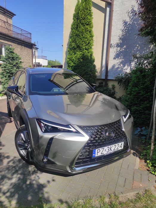Lexus UX 250h I wł. 2kpl. kół, hak