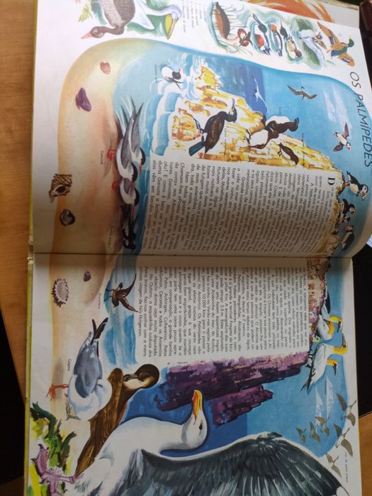 O Mundo dos Animais texto de Marcelle Vérité