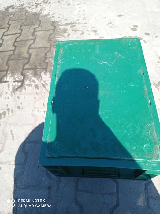 Skrzynka pełna do spożywki szparagów Bekuplast