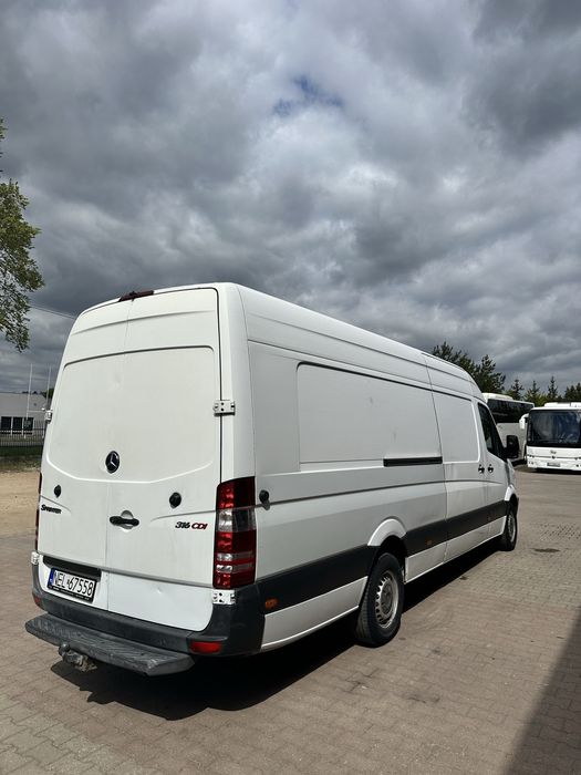 Sprinter, Master, Movano, wynajem, wypożyczenie. Wynajem busa