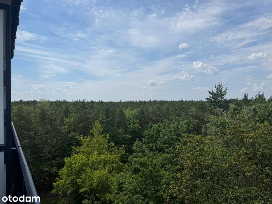 Osiedle Poematu, 5 piętro, 56 metrów, Klimatyzacja, Sauna, Garaż - View 4