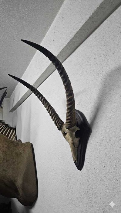 Troféu de Kobo Africano – Elegância Escultural