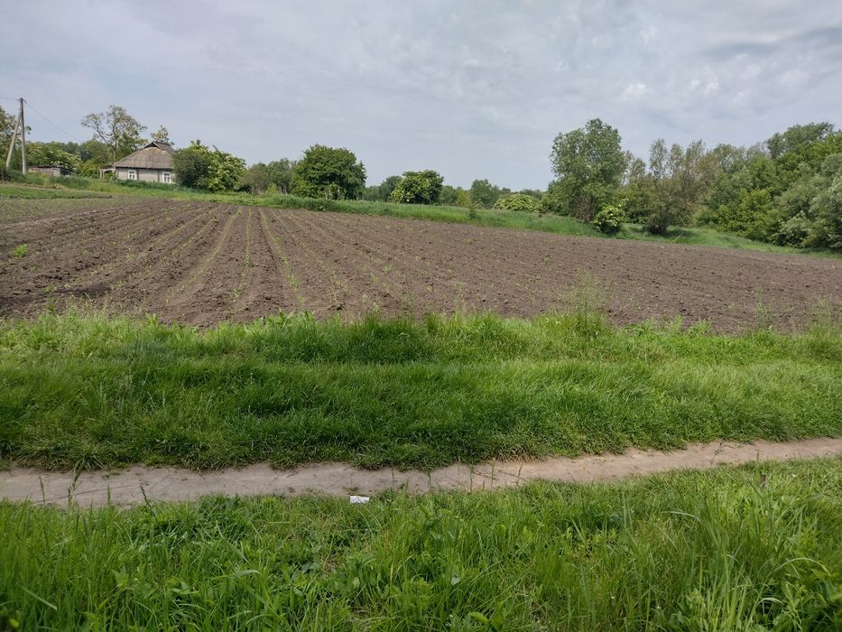 Продам земельну ділянку с.Вінницькі Стави!Ціну знижено!