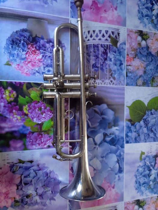 Труба музикальна, духова б/в